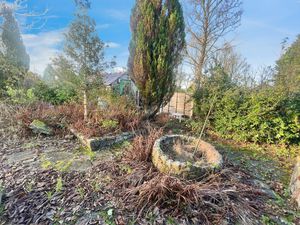 Garden- click for photo gallery